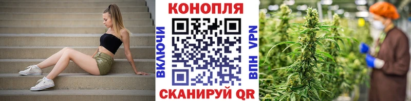 Все наркотики Ветлуга LSD-25  Бошки Шишки  КОКАИН  Меф мяу мяу  Гашиш 