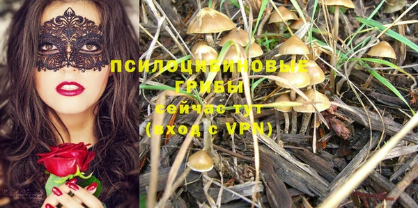 прущий лед Алексеевка